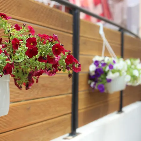 Feliz - Premium With Free Private Parking 게스트하우스